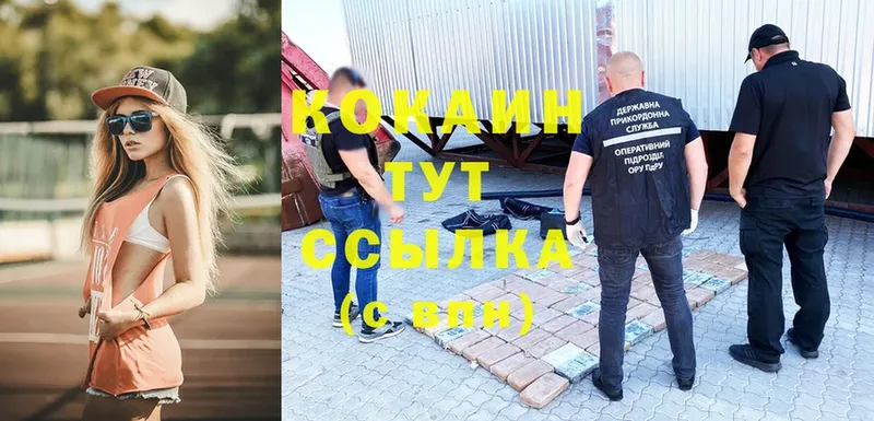 Cocaine Fish Scale  Владивосток 